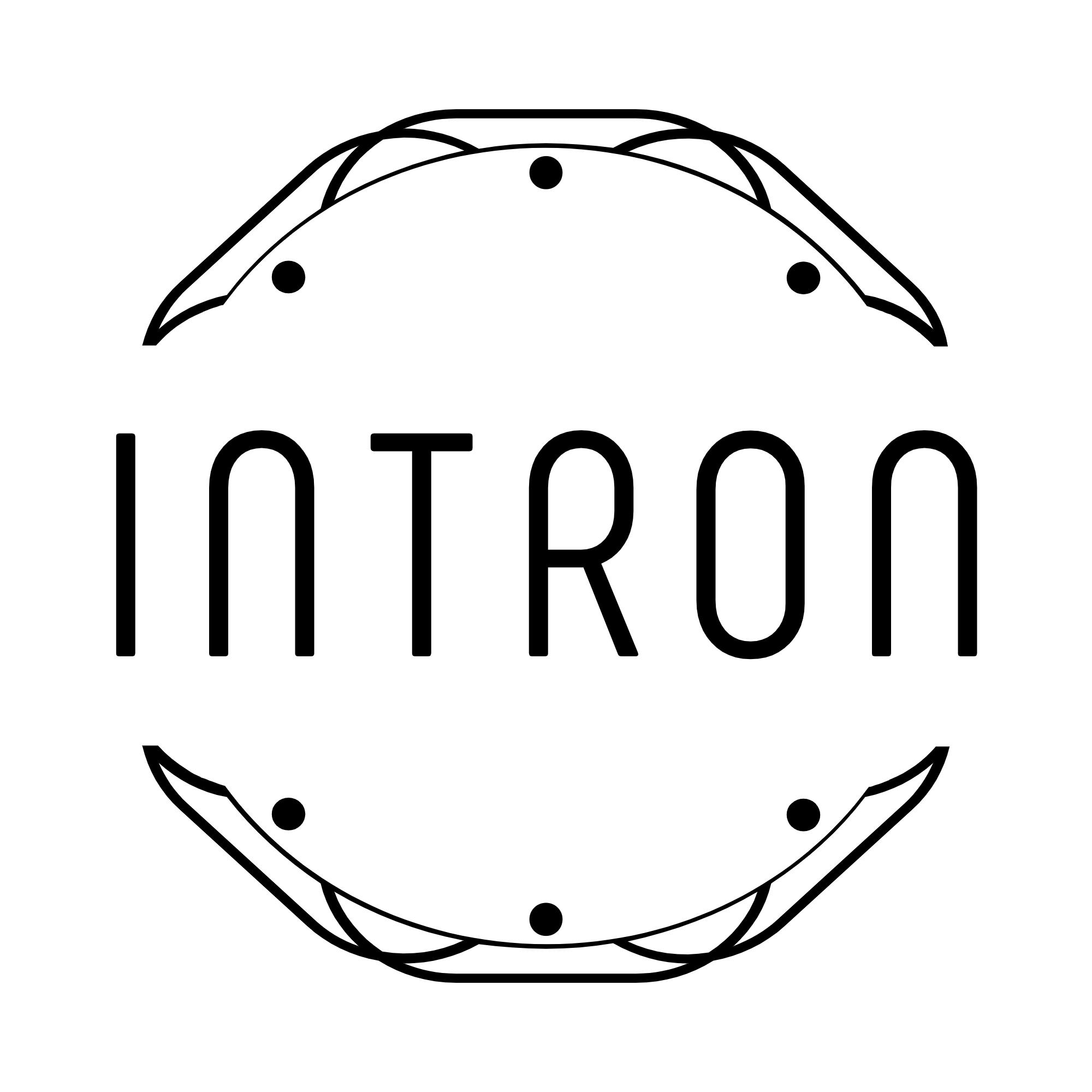 인트론글로벌 로고